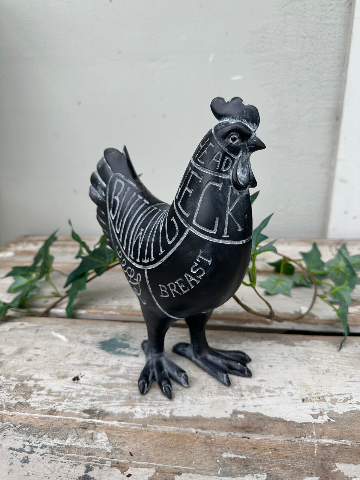 Butchery Cuts Chicken