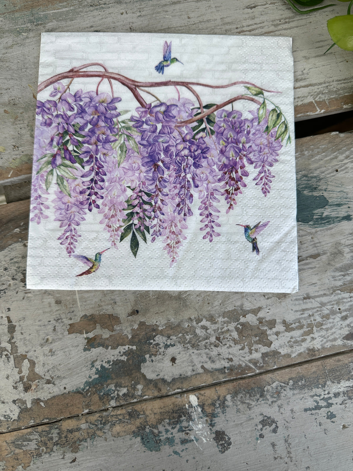 Wisteria & Hummingbirds Napkin for Decoupage