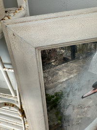 Swan Artwork with Mirror glass framed