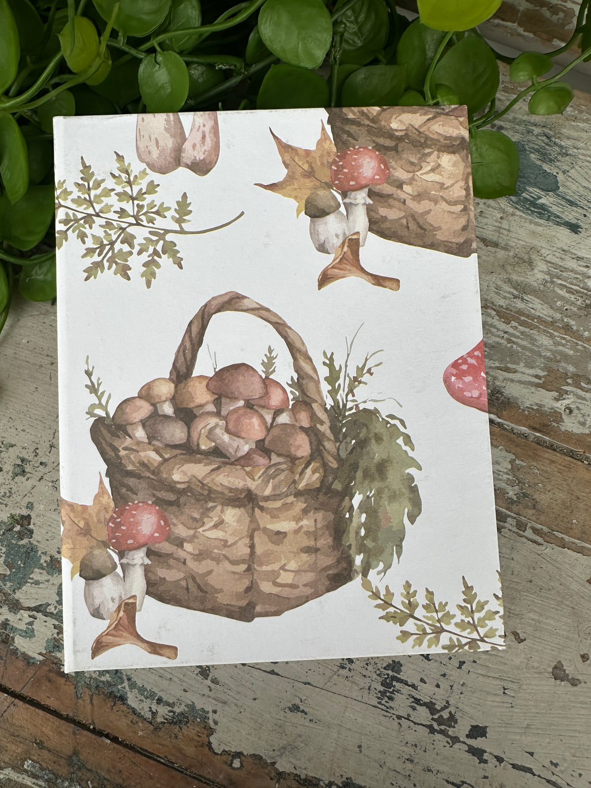 Jotter Pad Mushroom basket