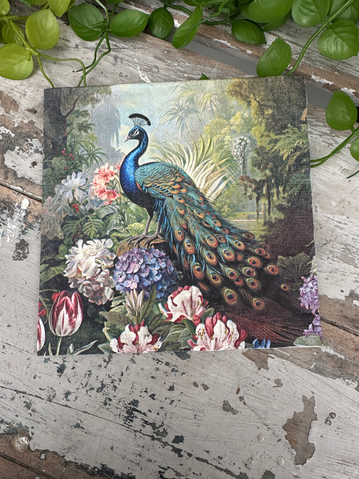 Peacock Garden Napkin for Decoupage
