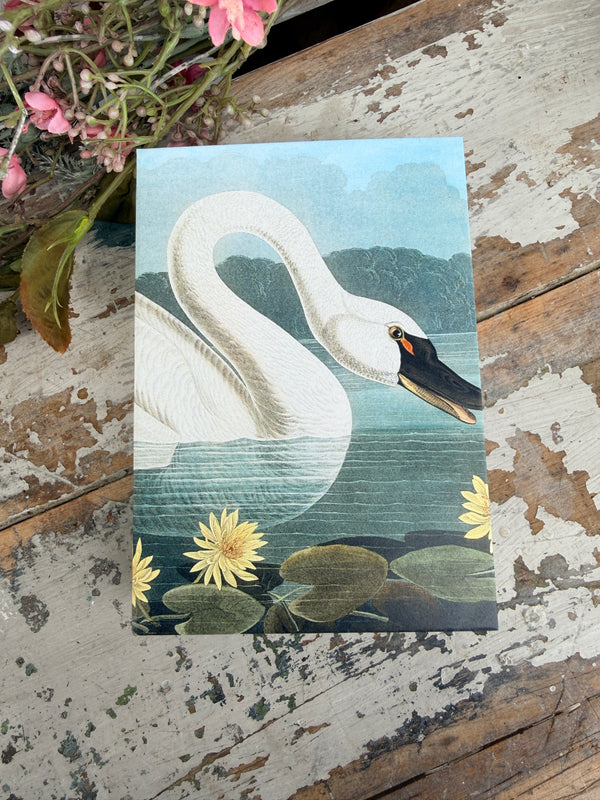 Jotter Pad Swan