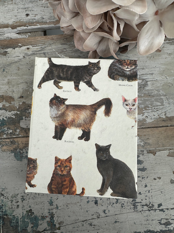 Jotter Pad Cats
