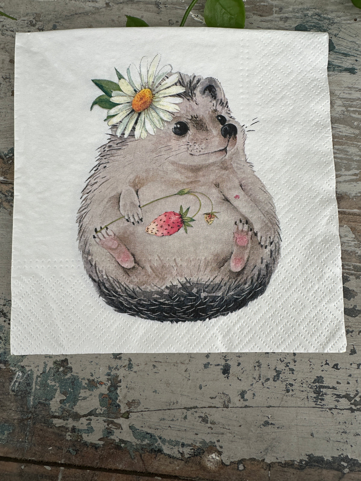 Hetty Hedgehog Napkin for Decoupage