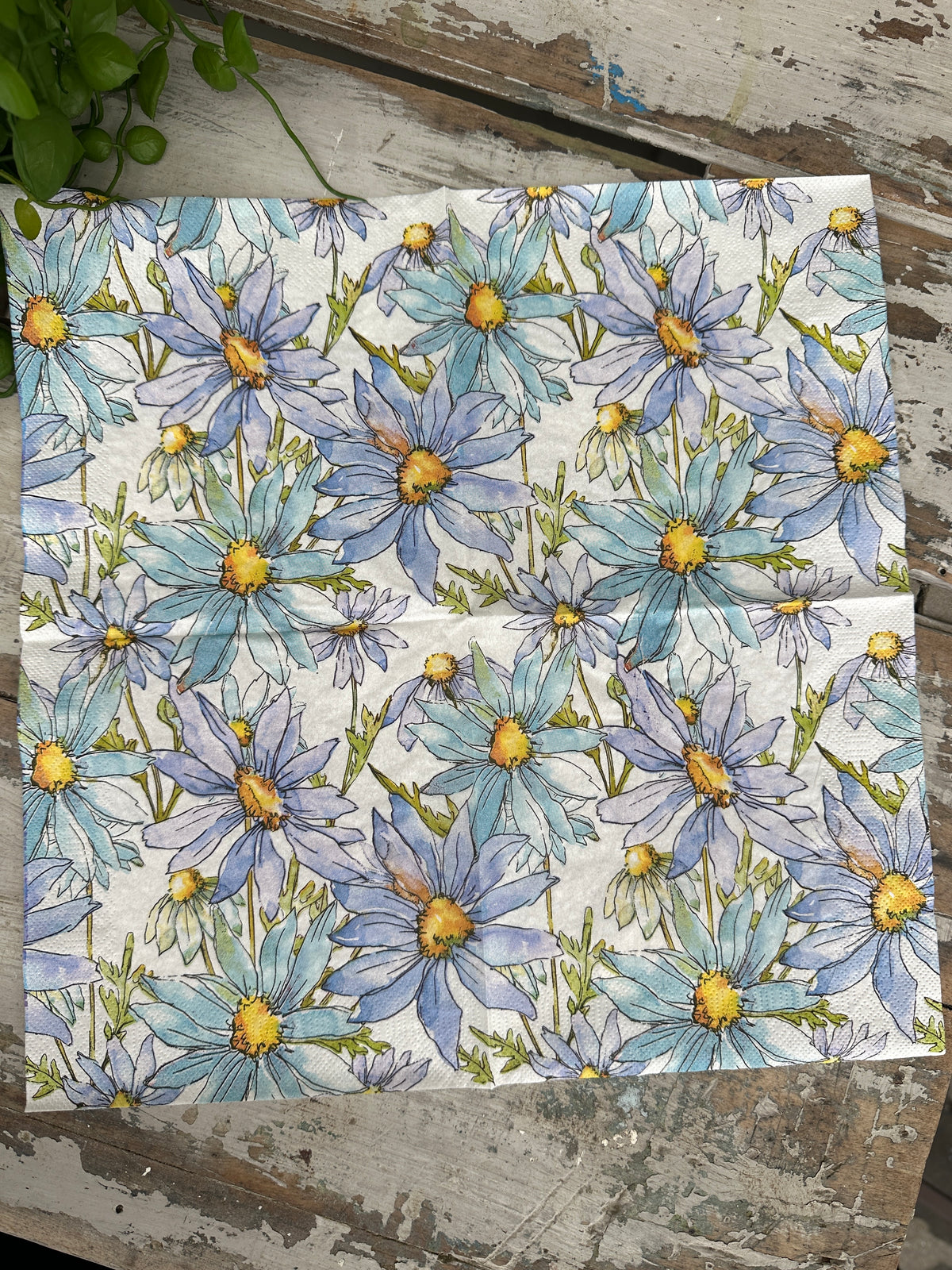 Blue Margerites Napkin for Decoupage