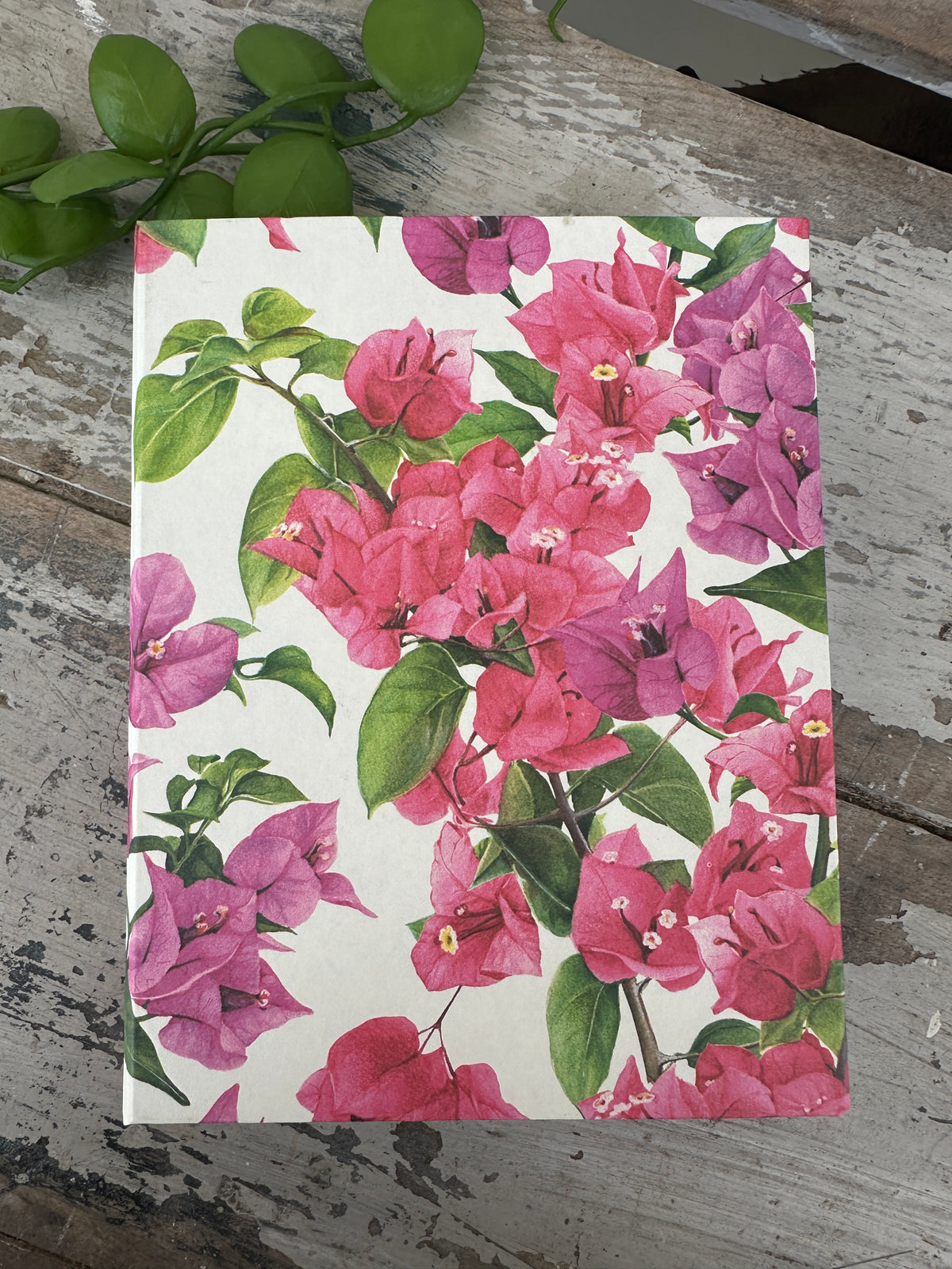 Jotter Pad Bougainvillea