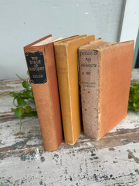 There is No Amour Vintage Book brown