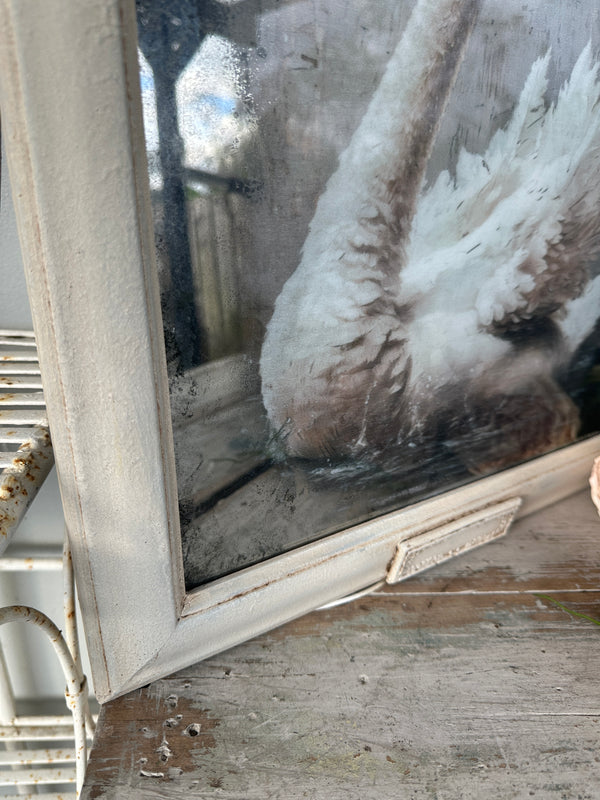 Swan Artwork with Mirror glass framed