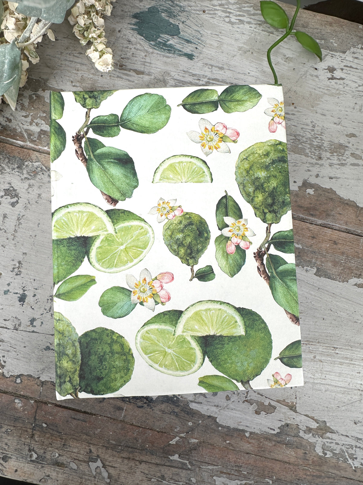 Jotter Pad Cut Limes