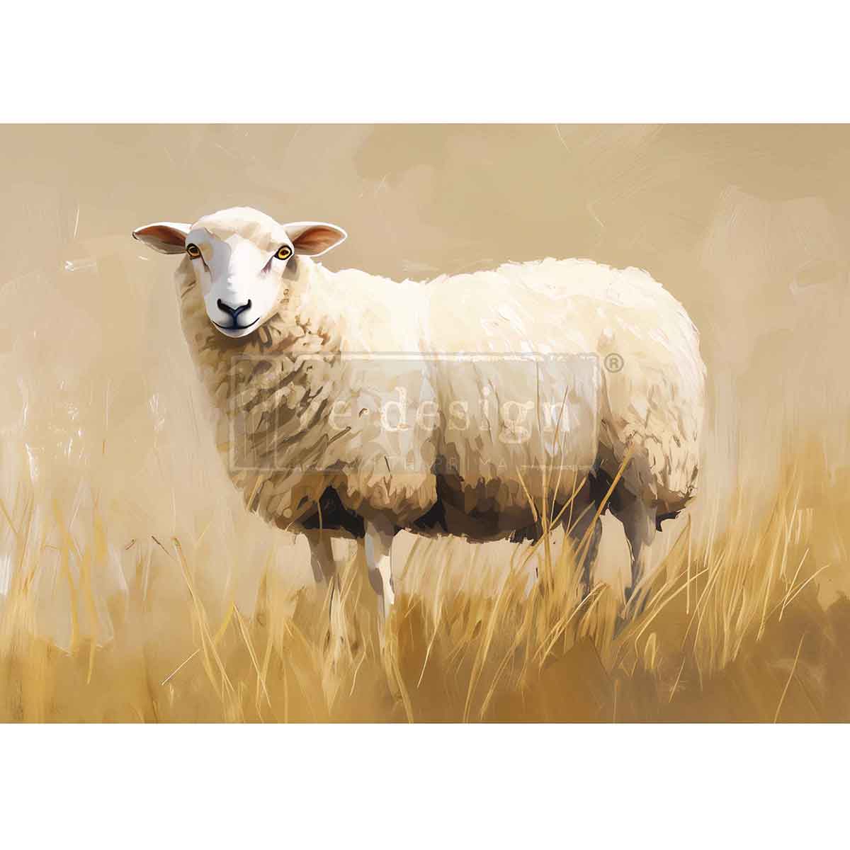 Sheep standing in tall grass with a plain background Pasture Dreams A3 Fiber Decoupage Paper