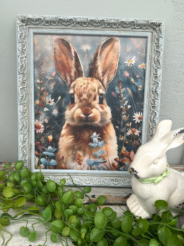 Vintage framed Beautiful Bunny