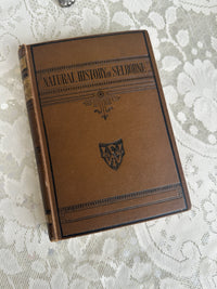 The Natural History of Selborne Vintage Book brown by F Warne