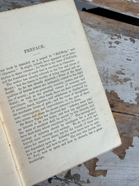1876 Antique Book Thrift By Samuel Smiles