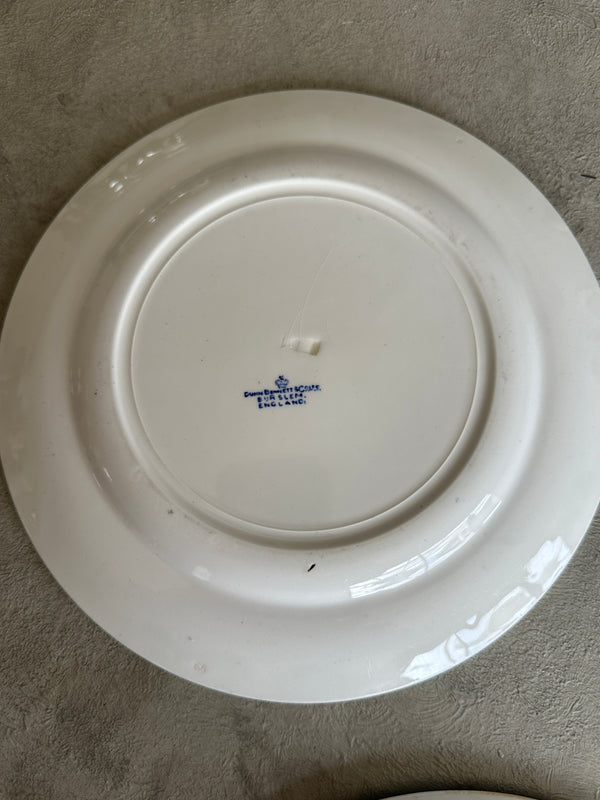 Blue & White plate dinner sized