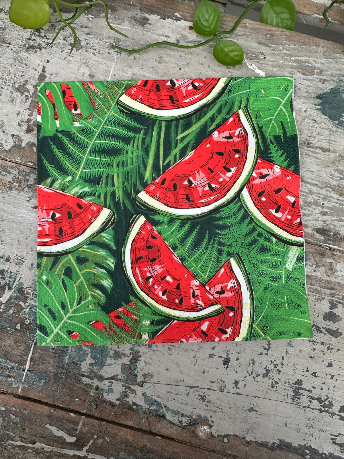 Watermelon Napkin for Decoupage