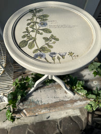 Botanical round side table