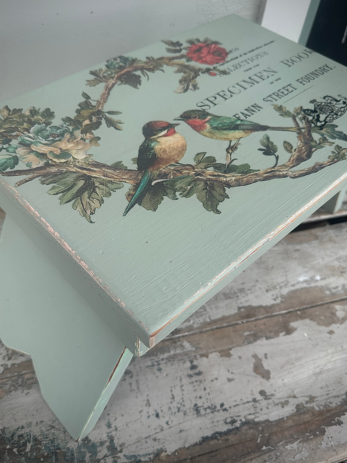 Duck Egg wood riser folding stool with REDESIGN WITH PRIMA  birds transfer