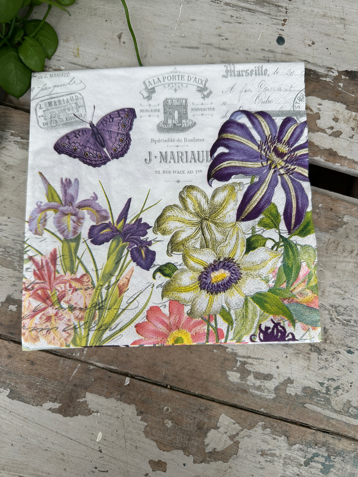 Belle Jardin Napkin for Decoupage