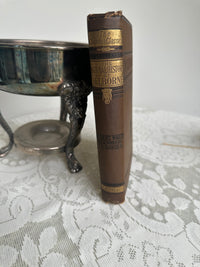 The Natural History of Selborne Vintage Book brown by F Warne