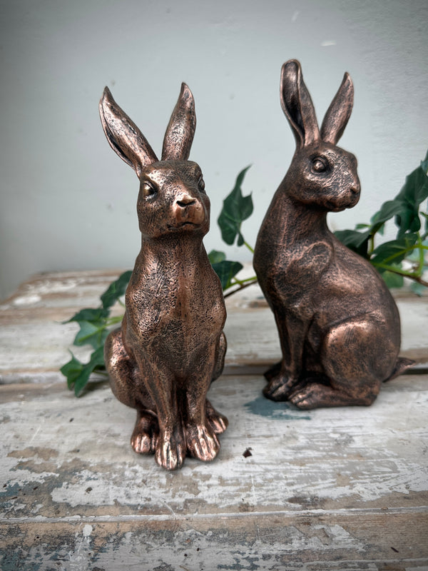 Two bronze rabbit statues on a rustic wooden surface with a plant in the background.