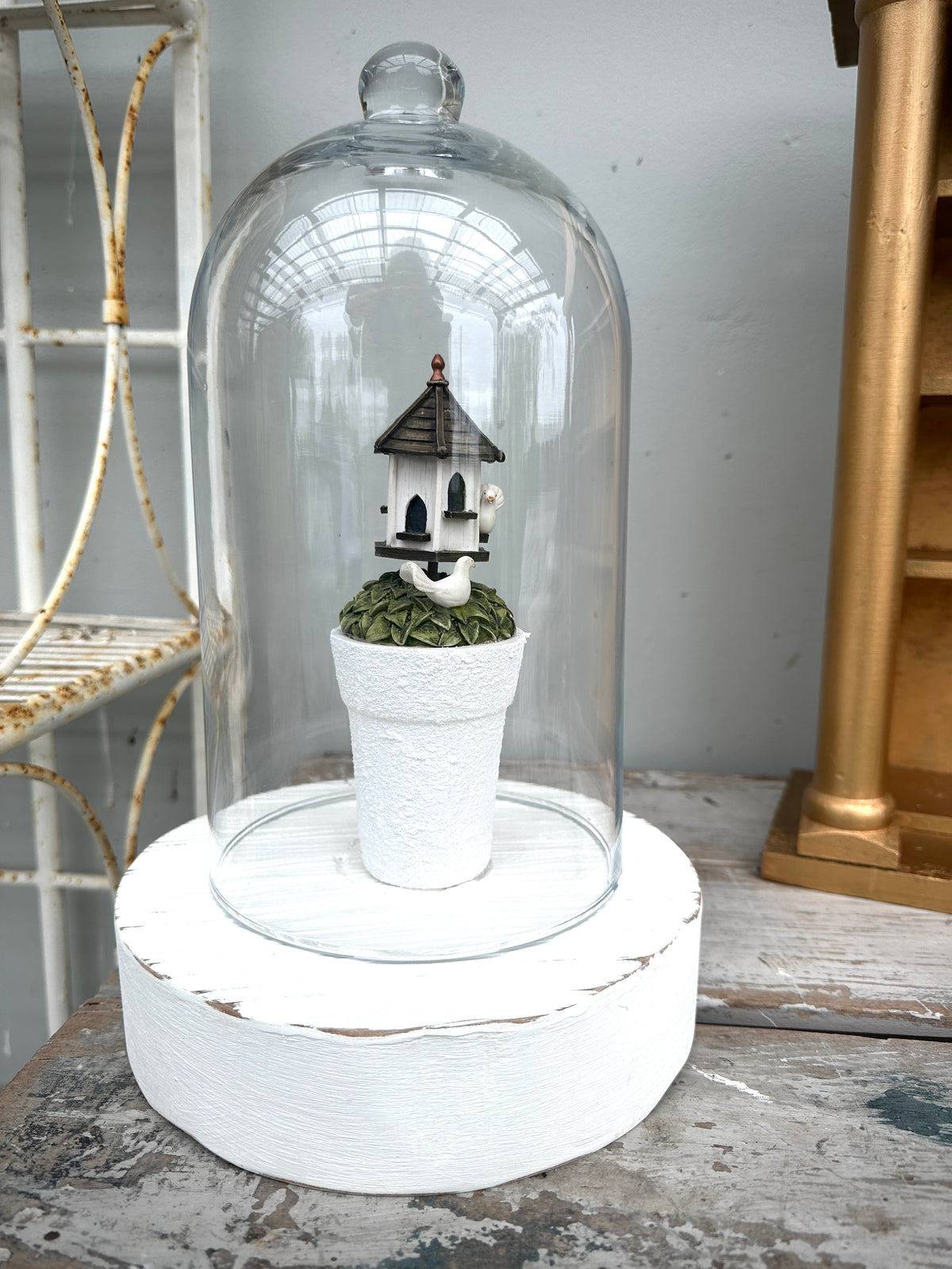 Glass Cloche on solid wood base COLLECT ONLY