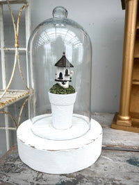 Glass Cloche on solid wood base COLLECT ONLY