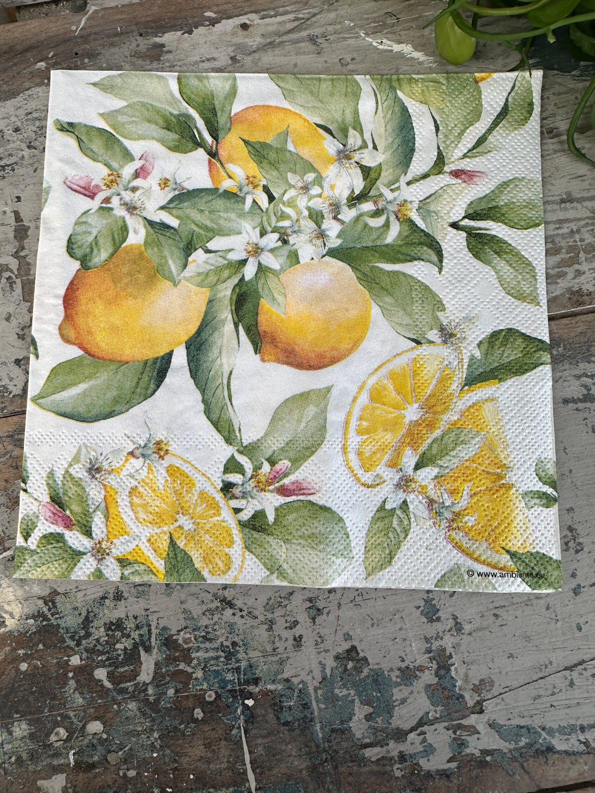 Limoni Napkin for Decoupage