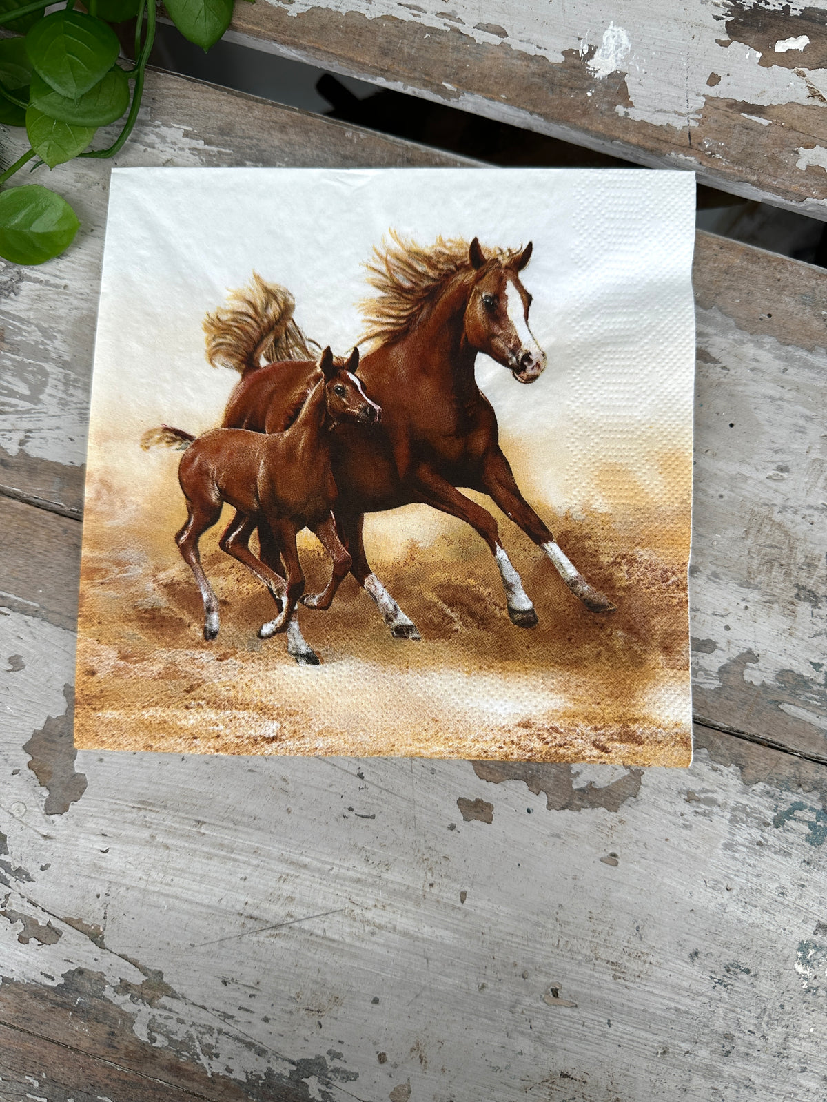 Mare with foul Napkin for Decoupage