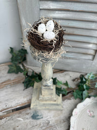 Birds Nest on a pedestal