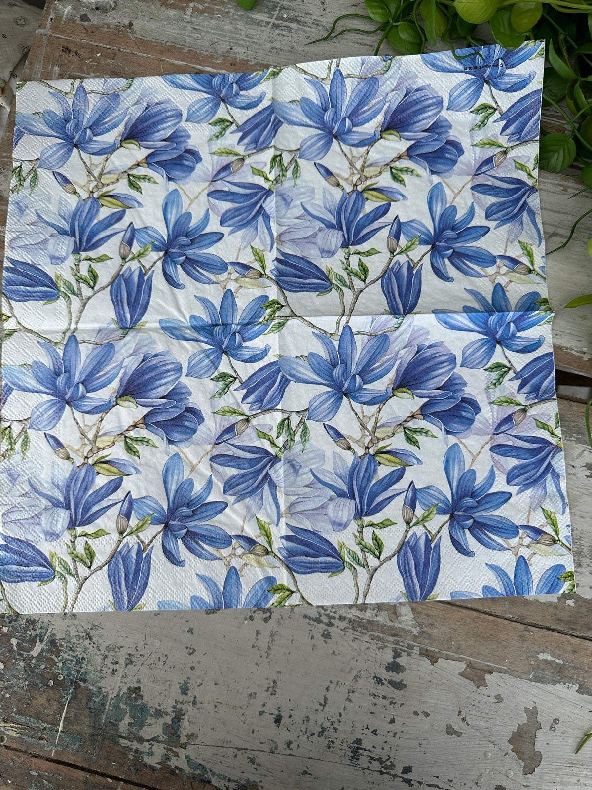 Blue Magnolia Napkin for Decoupage