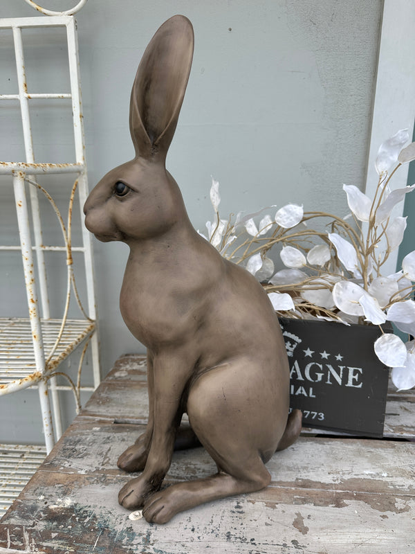 Harold the Hare Brown