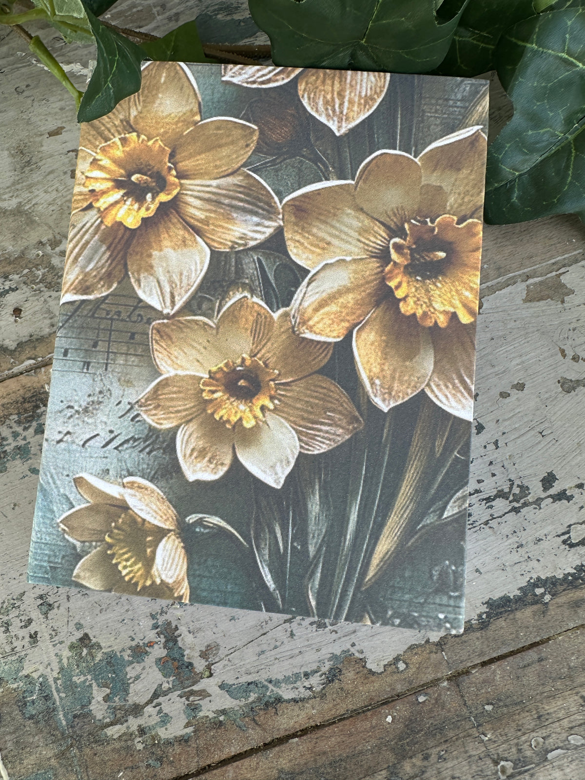 Jotter Pad Daffodil Music