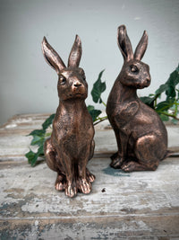 Bronze Rabbit Sitting head turned