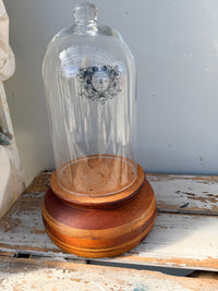 Glass Cloche on natural wood base COLLECT ONLY