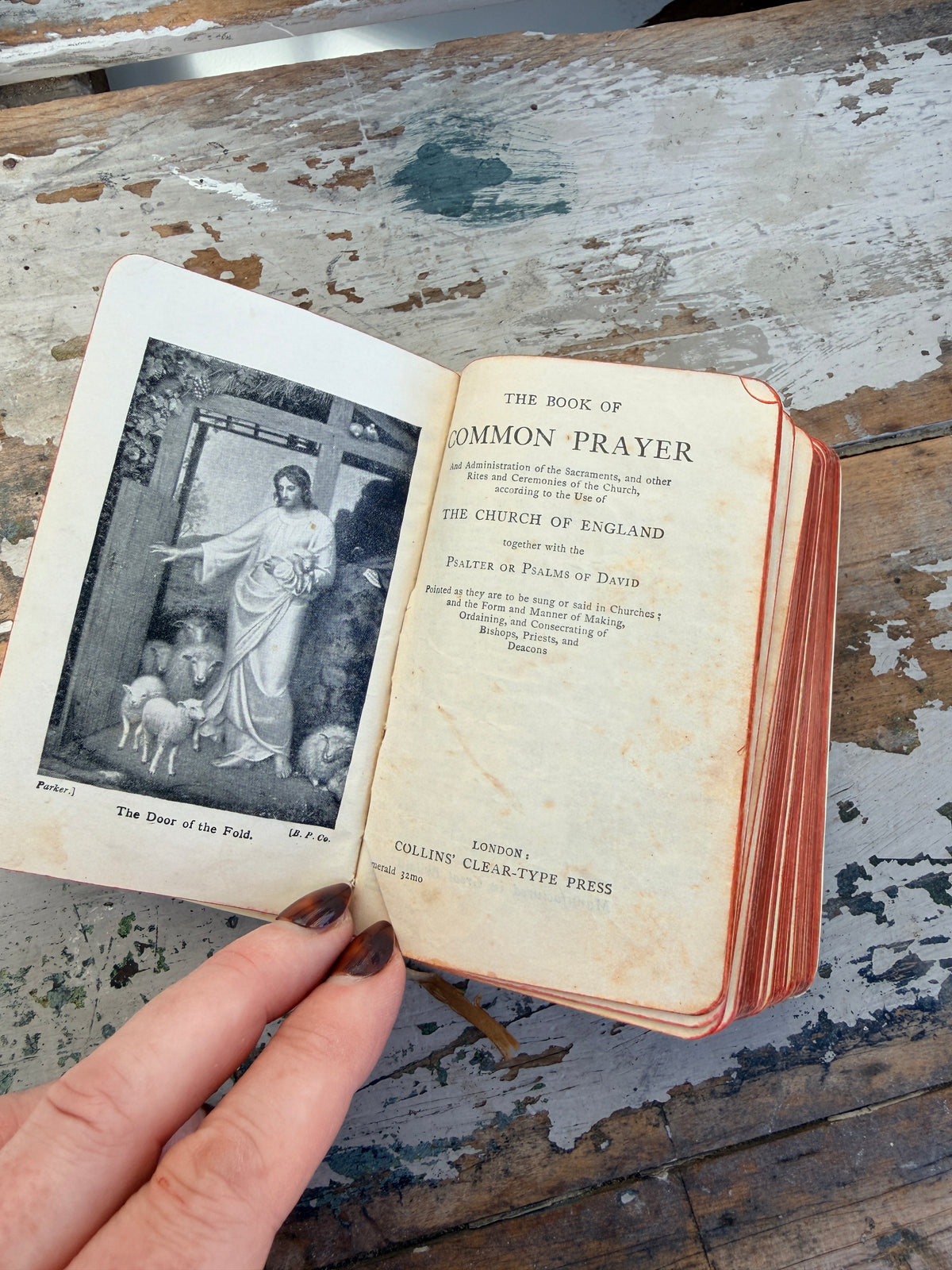 The Book of Common Prayer Vintage Cream and Pink