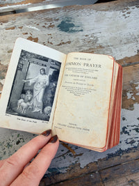 The Book of Common Prayer Vintage Cream and Pink