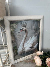 Swan Artwork with Mirror glass framed