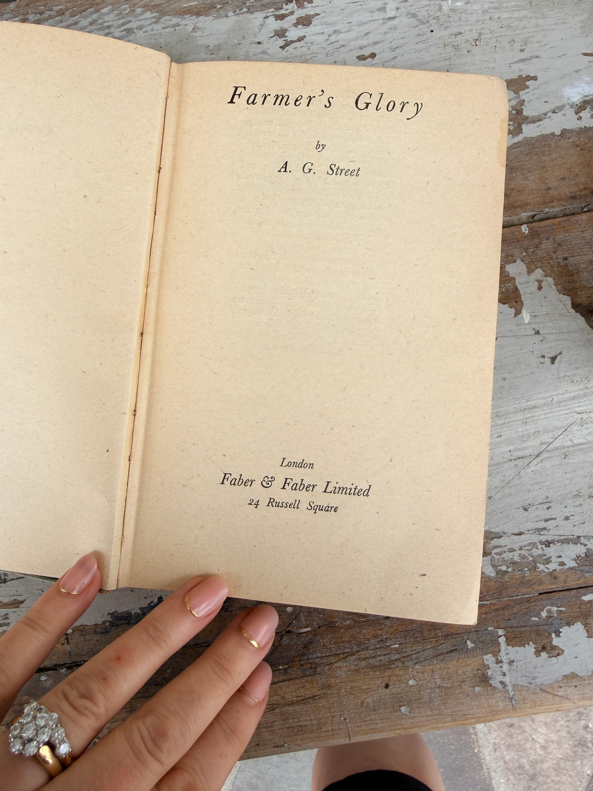 Farmers Glory Vintage Light Blue book