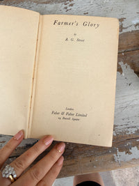 Farmers Glory Vintage Light Blue book