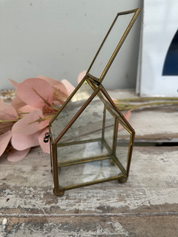 Glass & Brass enclosed display case