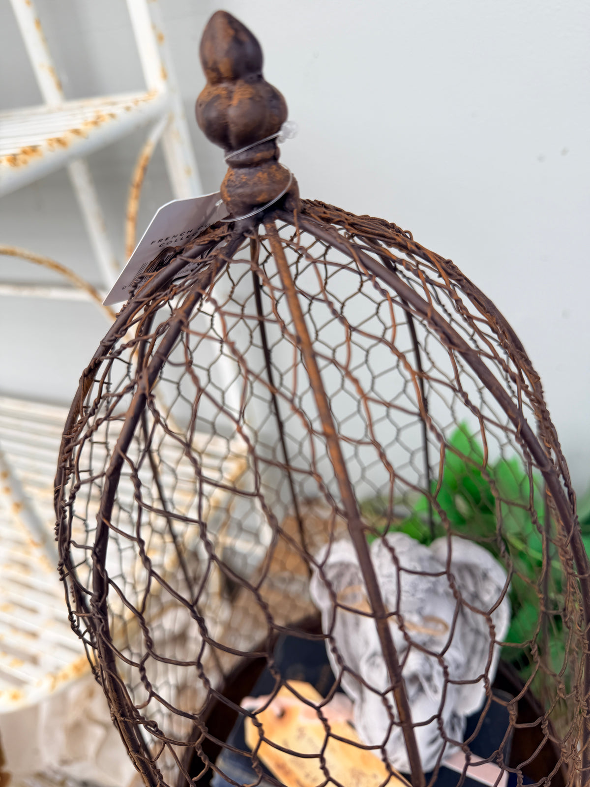 A rustic metal birdcage planter  with the Maison Garden Cloche.
