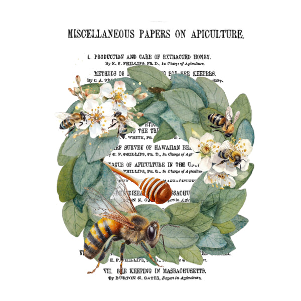 Illustration of bees, flowers, and honeycomb with text on a white background Apiculture White Cloud Transfer