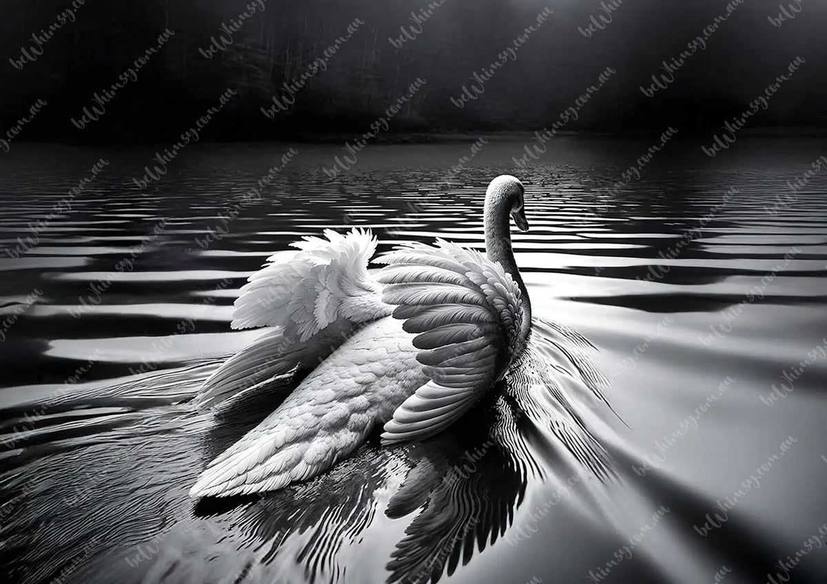 Black and white swan swimming on water with ripples Swan Away Mulberry Decoupage Paper