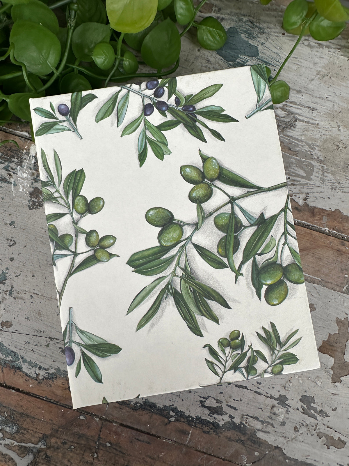 Jotter Pad Olives