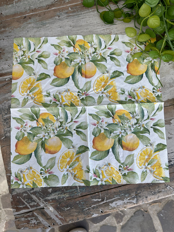 Limoni Napkin for Decoupage