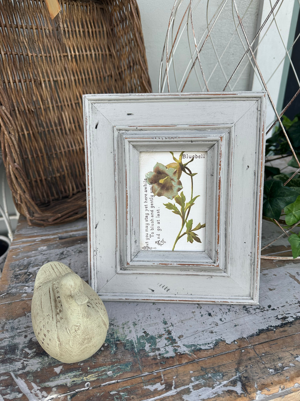 Framed Bluebell with writing - painted ex the PMV studio