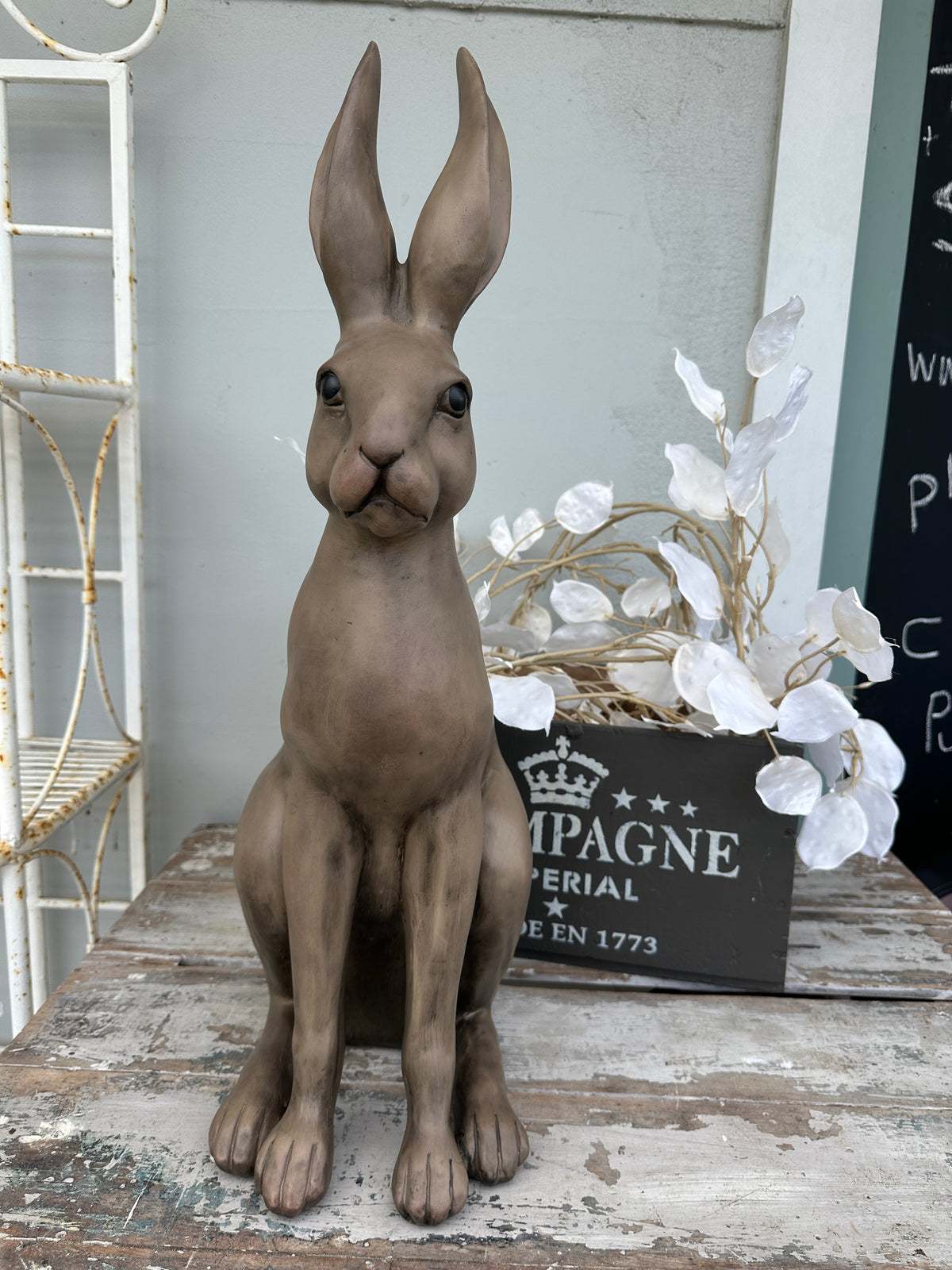 Harold the Hare Brown