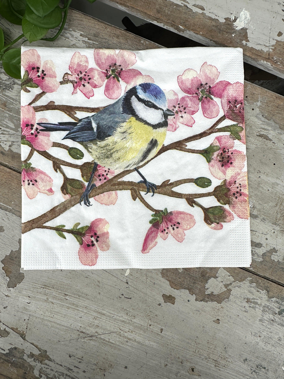Blue Bird and blossom Napkin for Decoupage