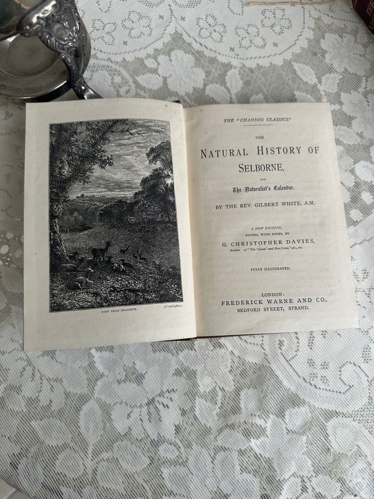 The Natural History of Selborne Vintage Book brown by F Warne