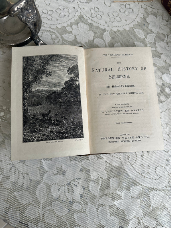 The Natural History of Selborne Vintage Book brown by F Warne